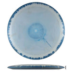 Blue disc golf disc - 0b2c8b0c-51bf-40de-9344-e4a2edb1ae22