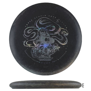 Gateway Super Stupid Soft Wizard Disc