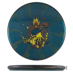Disc golf disc with fantasy art